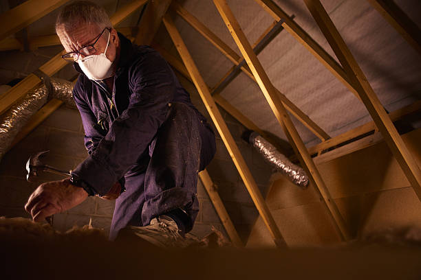 Best Specialty Insulation in Mount Vernon, WA